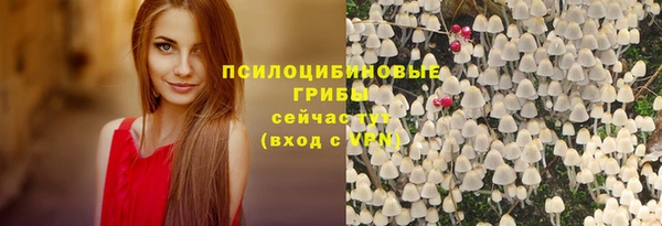 таблы Инсар